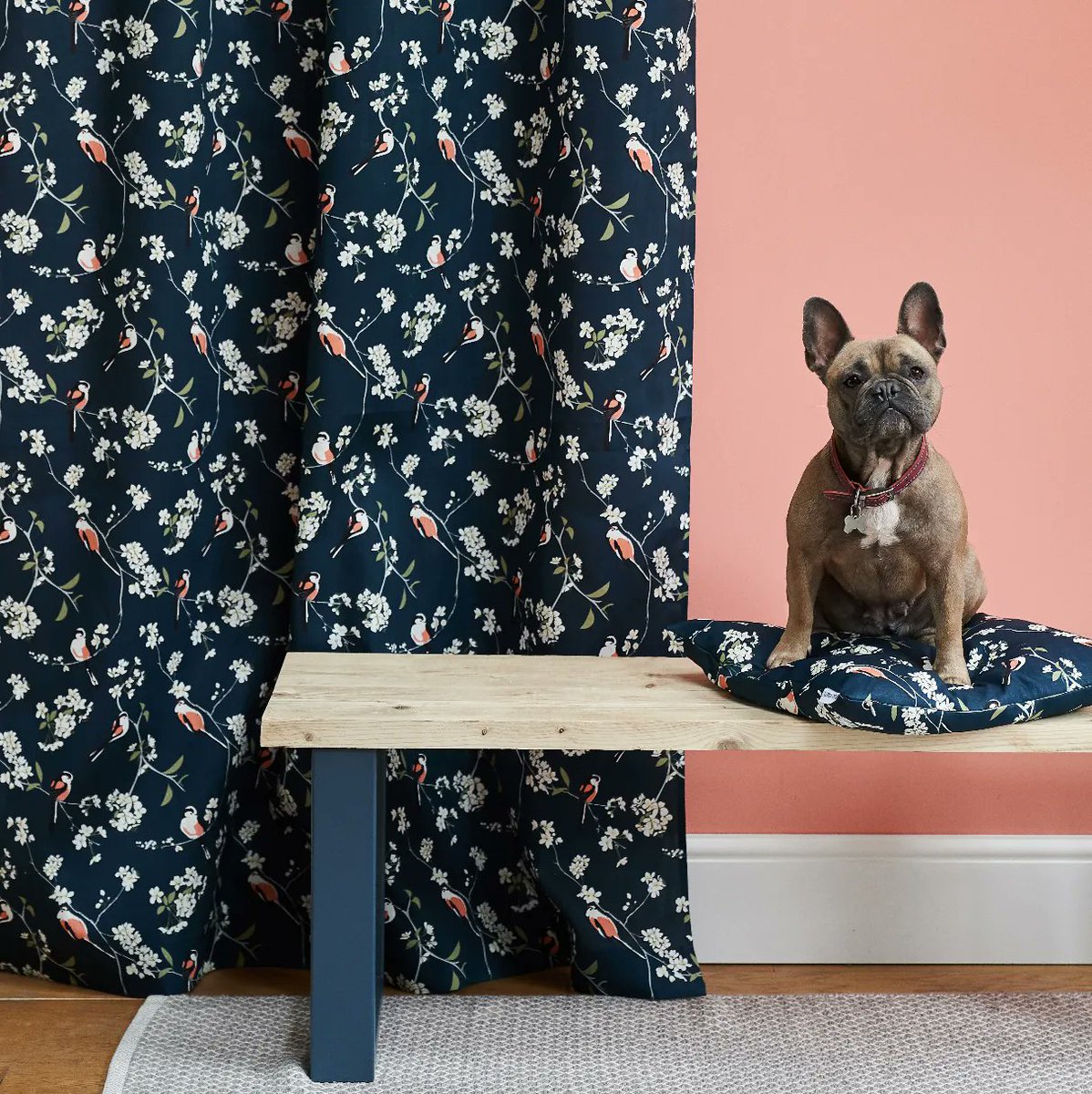 🌼 Last Chance Alert! 🌼 Hurry, our Lorna Syson x RSPB collaboration sale is selling out fast! Explore the collection of captivating greeting cards, wrapping paper, wallpaper, fabric, cushions, and lampshades before they disappear forever.