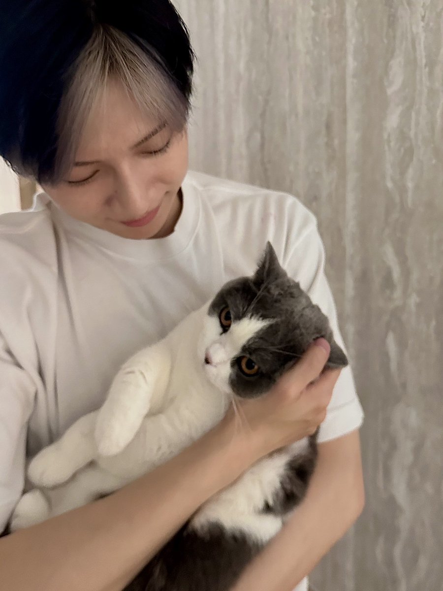 kkoongdaeng tweet media