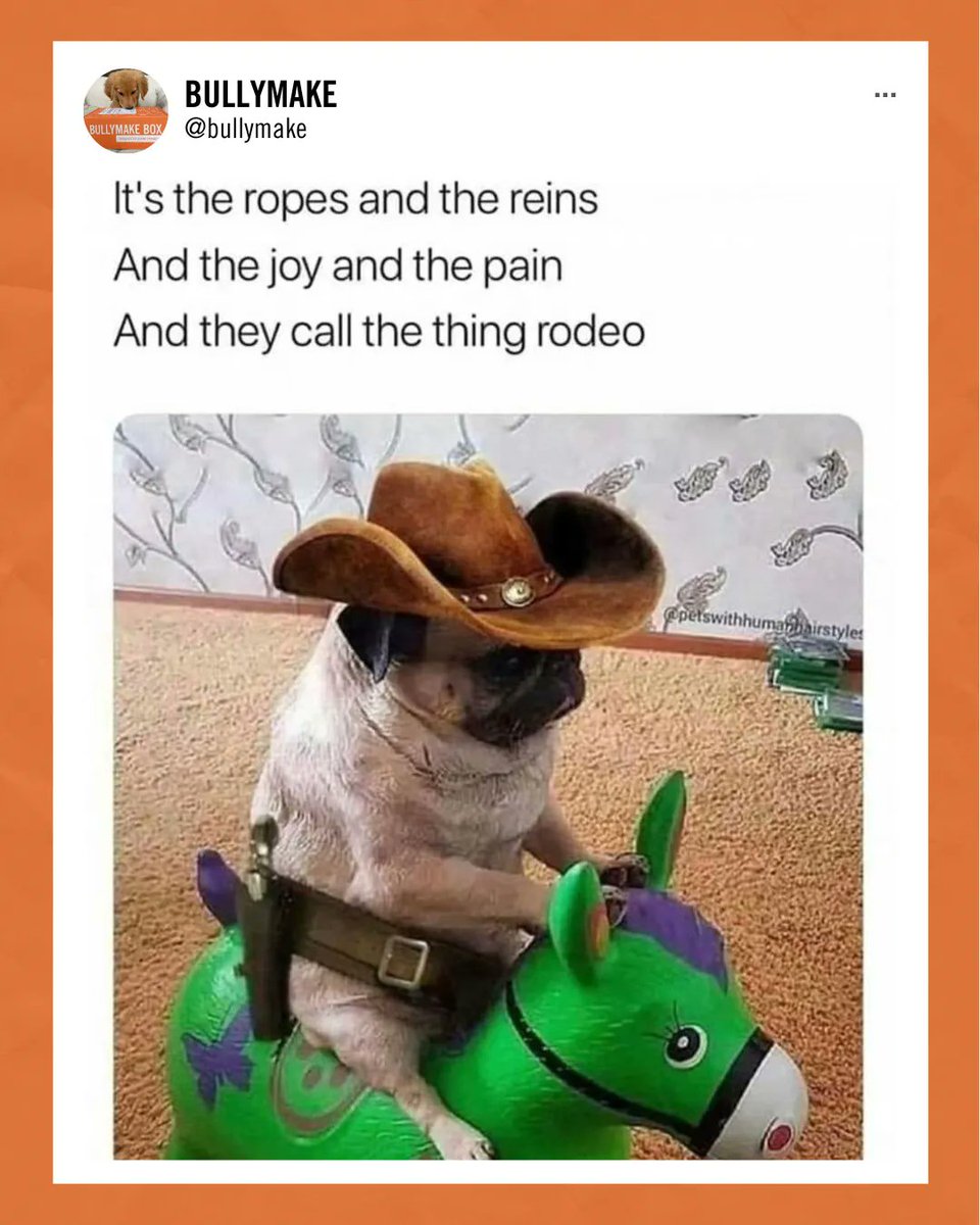 You're the yee to my haw ❤️ 

#pug #dogs #memes