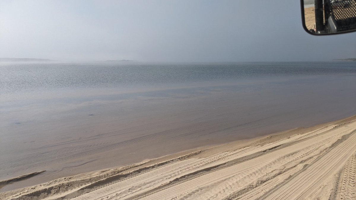 TheTrusteesMV's tweet image. #beachupdatesMV Due to astronomical high tides and trail flooding, Cape Poge Bayside trail is temporarily closed.