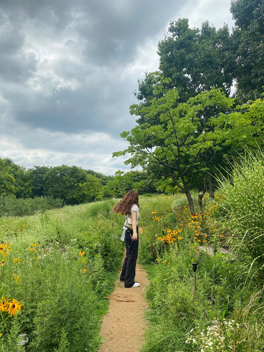aeonianyou's tweet photo. 🌼 https://t.co/avYM0GXmel