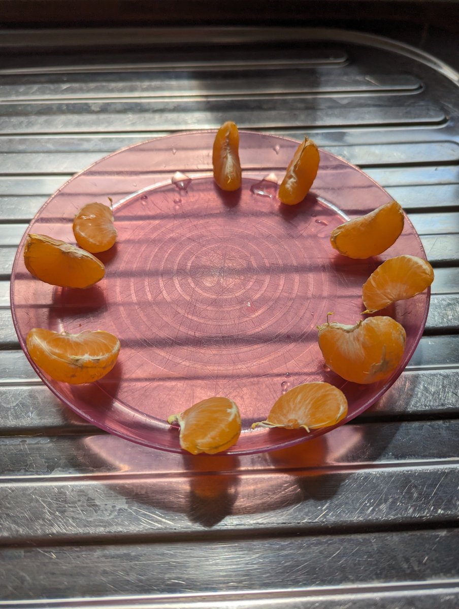 Paudie Fearon tweet media