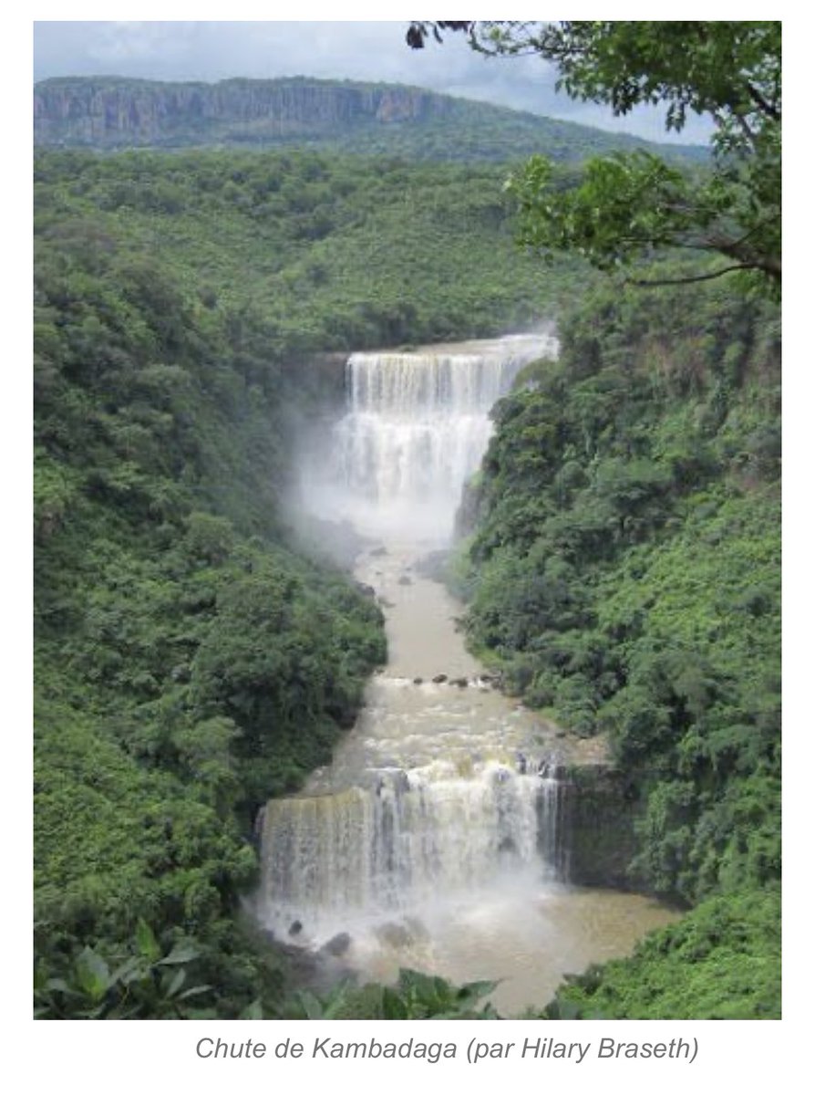 Hadiyahwel's tweet photo. Le fouttah djallon a des cascades a vous coupé le souffle pourkoi ne pas développer les accès à ces jolies cascades ça va apporté bcp au taurisme de notre pays #chutesdeau #kambadaga #ditin #kinkon #fouttah https://t.co/aZU0VZQ6IE