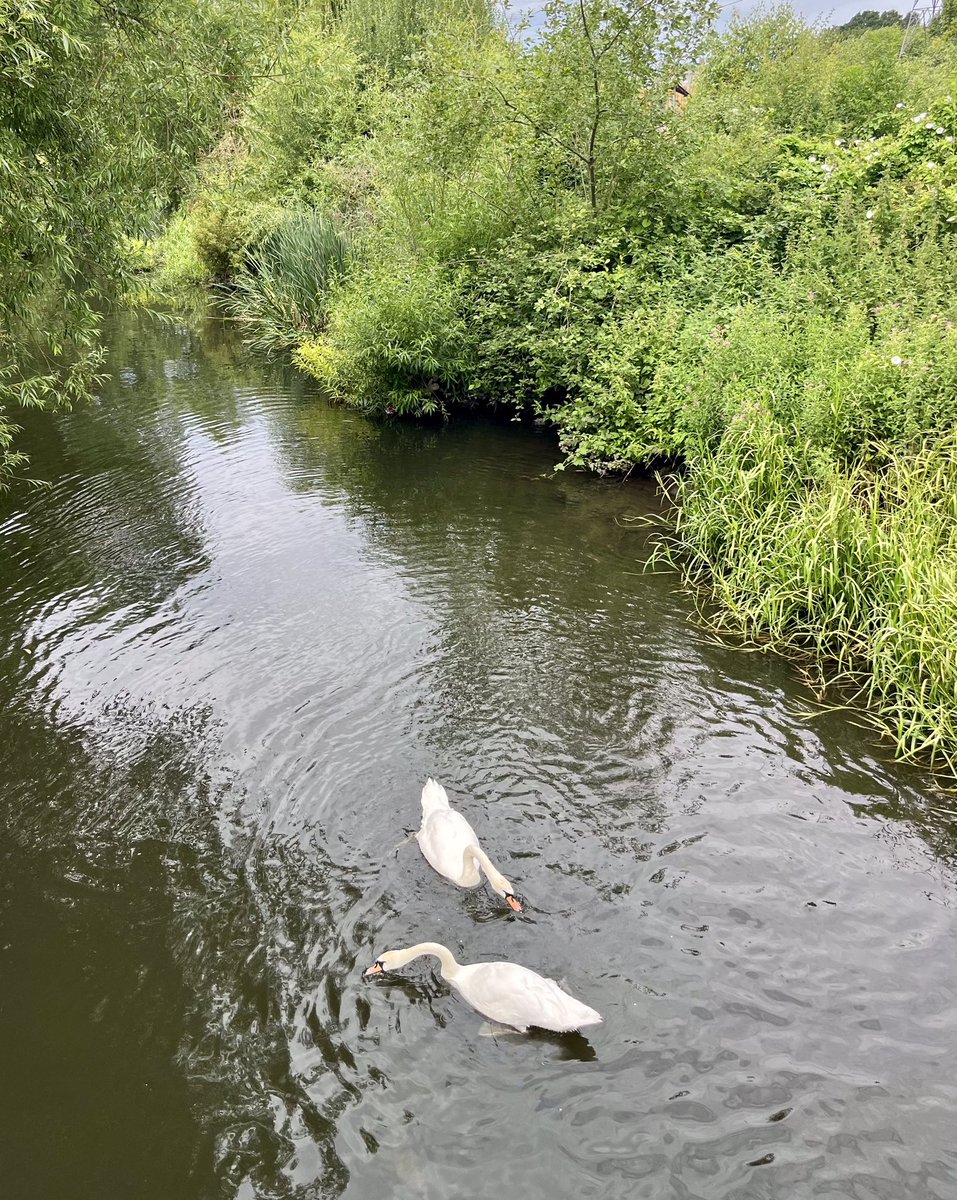 Friends of Oxhey Park tweet media