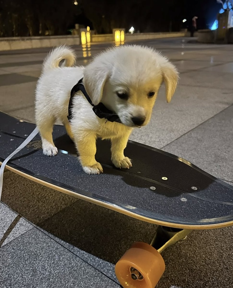 สอนขับไปหาสาวนอย