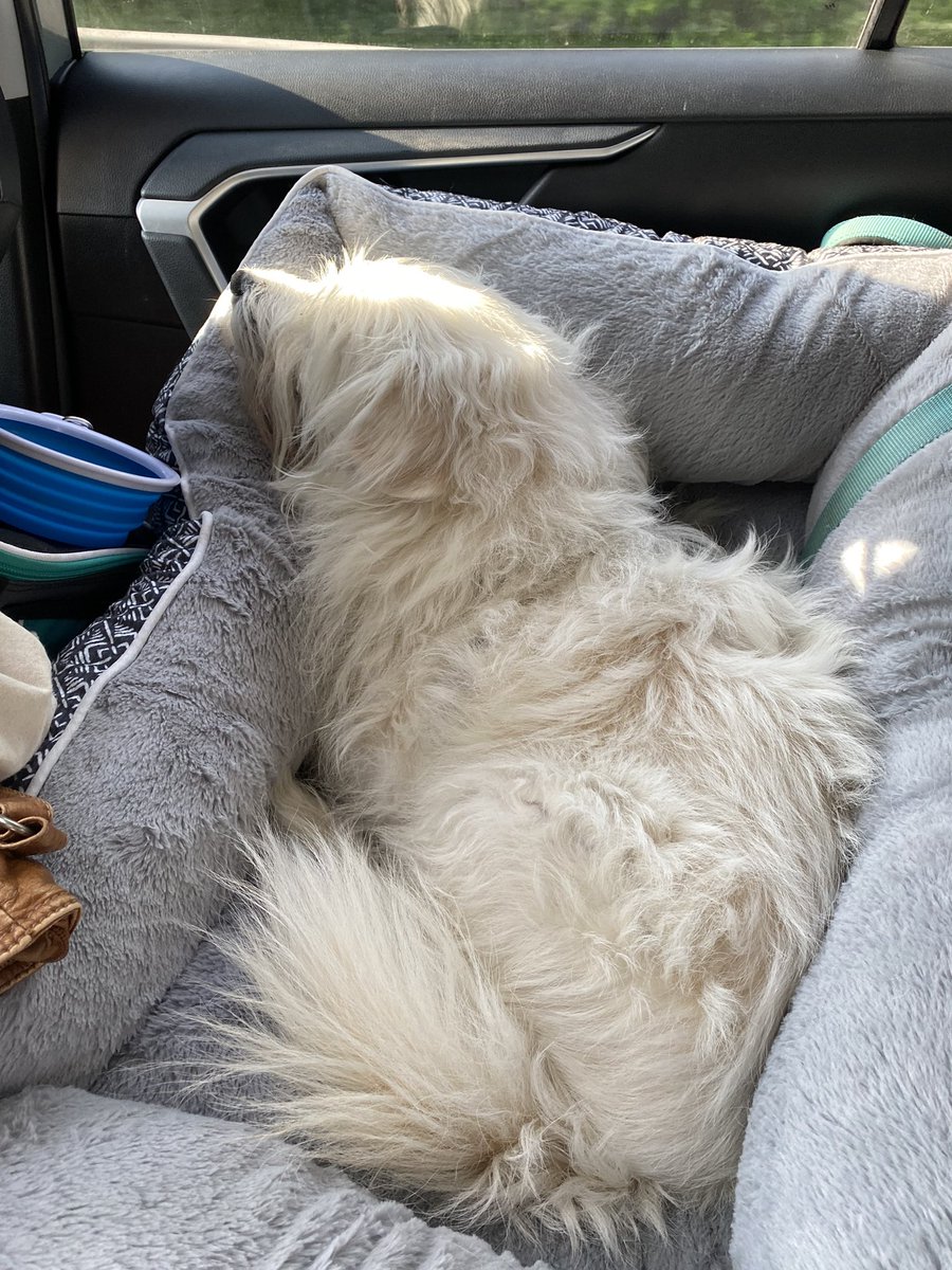 Whitney😑 tweet media