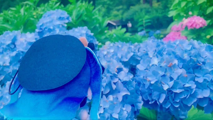 あまみゃをお迎えして初めてのお出かけだったどこにいても超絶かわちい……… #amamyaGoods 