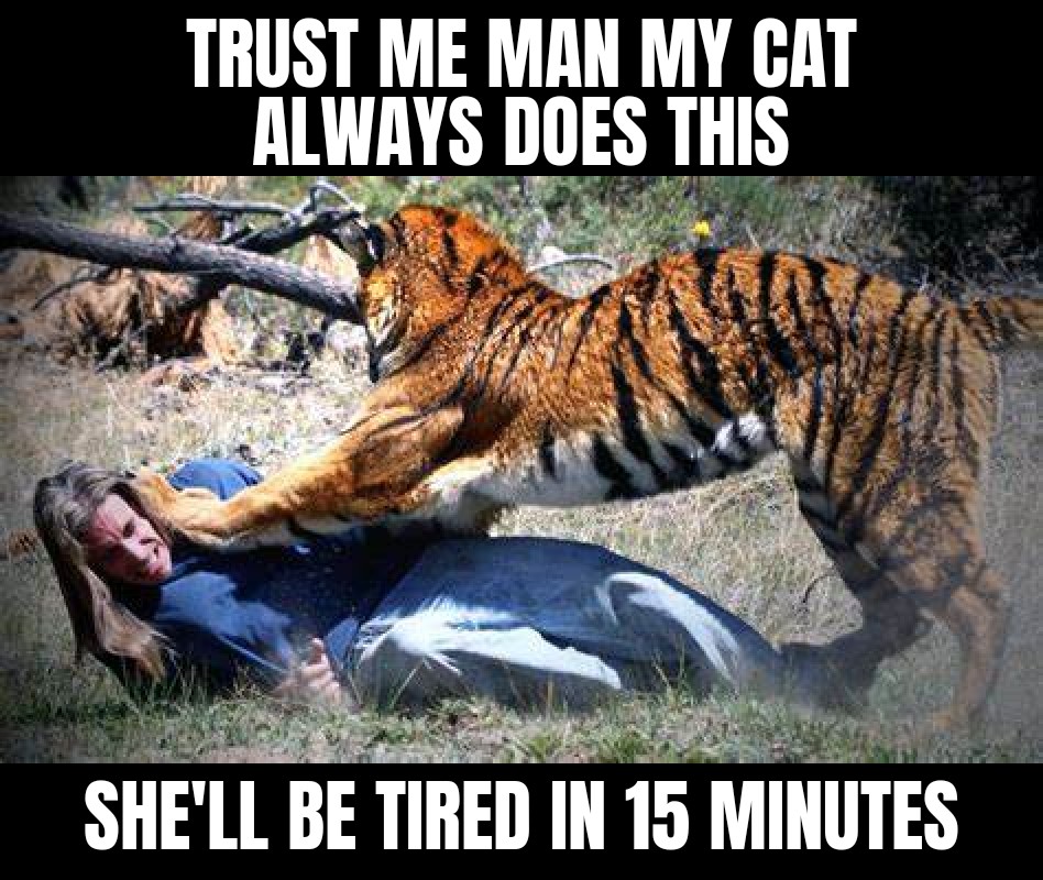 Trust me man my cat always does this. She'll be tired in 15 minutes.
#meme #joke #haha #lmao #memes #hippie #tiger #cat