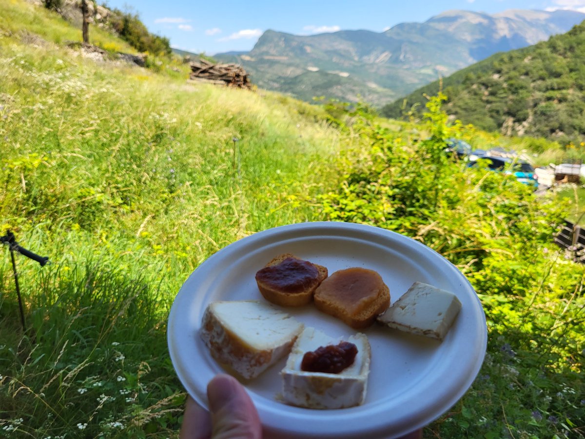 I al acabar degustem productes km 0 gràcies a Herboristeria Nogué, Formatgeria <a href="/serratgros/">Serrat Gros</a> i Melmelades Cal Casal d'Ossera. Un festival excepcional que combina indrets meravellosos del Pirineu, la millor música antiga amb excel·lents músics i experiències singulars.