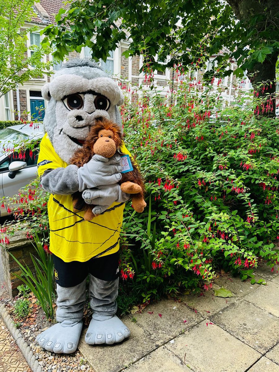 Emily Dance Bristol tweet media