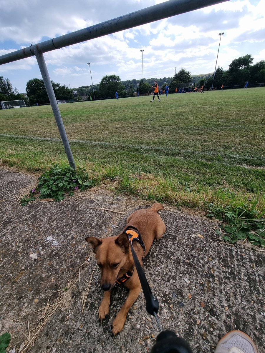 First two matches of the 2023/24 Season. <a href="/mileoak_fc/">Mile Oak FC</a> with a 4-1 victory, and a 1st trip to Barnet to see Norwich.