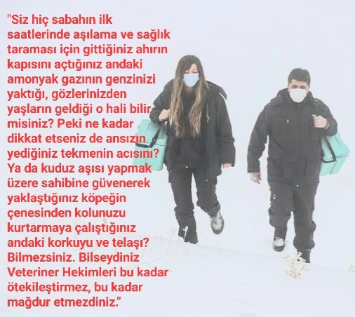 GazeteMemur (@gazetememur) on Twitter photo 