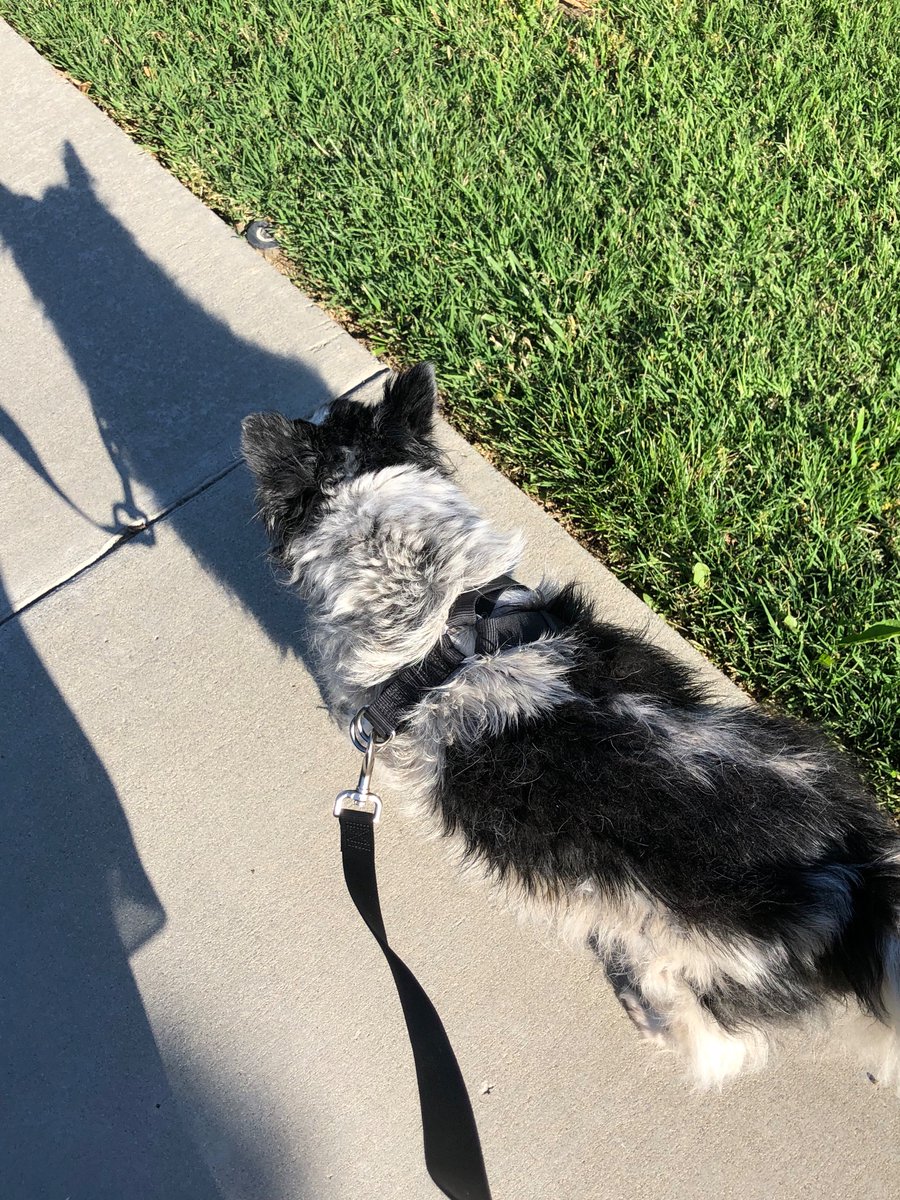 Syvanndra's tweet image. What is happening?!