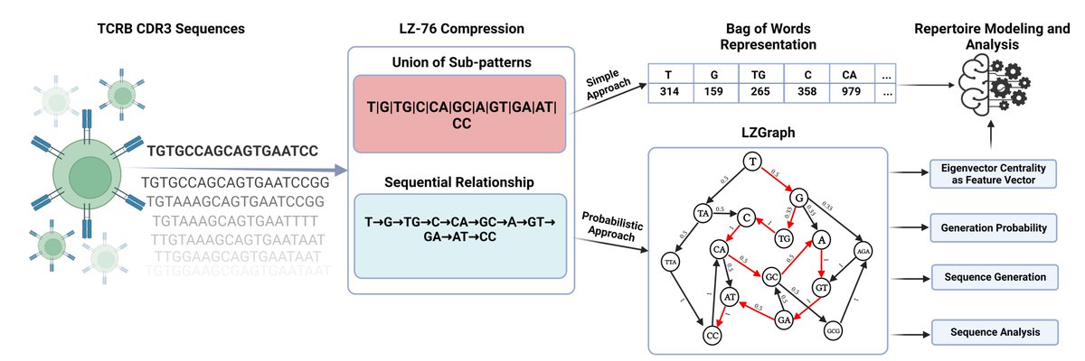 1/5 🎉 Thrilled to announce our paper on a novel approach to T-cell receptor beta chain (TCRB) repertoire encoding using lossless string compression has been published in Bioinformatics! This work is pivotal for our daily work and analysis of TCRB's #Bioinformatics #Immunology