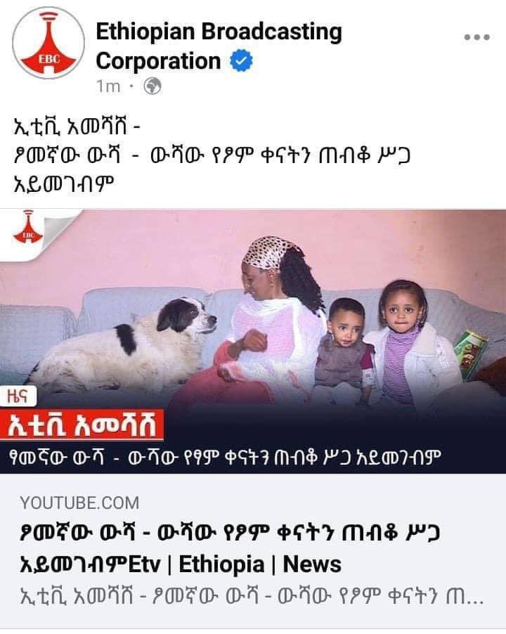 Out Of Context Ethiopia (@nocontextethio) on Twitter photo 