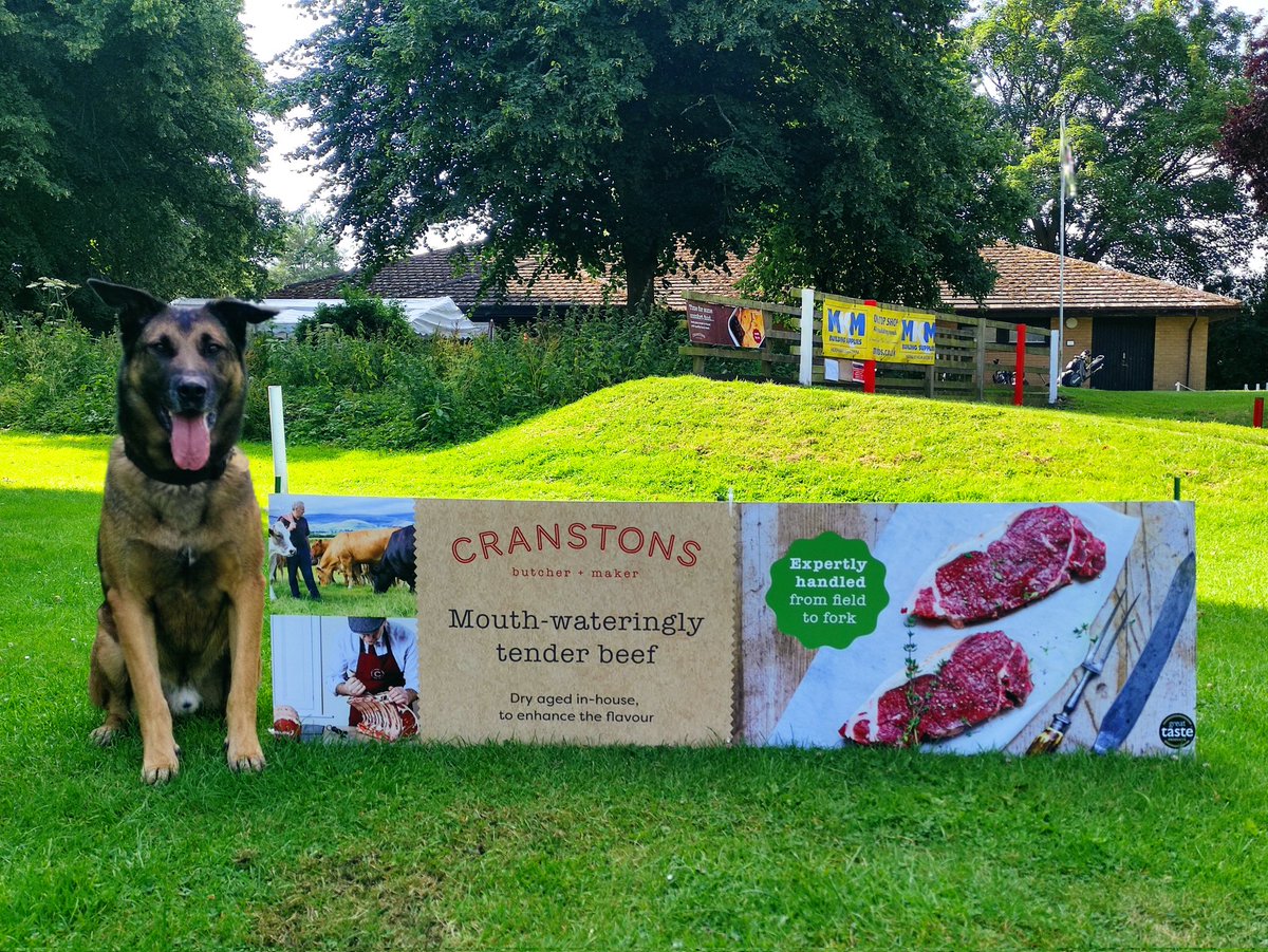 Hey, <a href="/cranstons_1914/">Cranstons Butcher + Maker</a>! Ever thought about sponsoring canicross? Or maybe you need some quality control? (To be honest, leftovers would do, I'm not fussy really…) 🍖🥓🥩🍗🤤

#Hexham #Northumberland