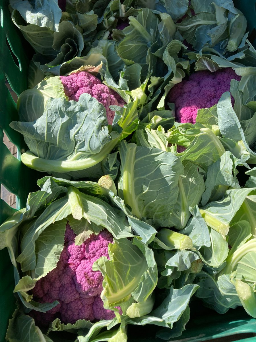 SOMETHING EXTRA SPECIAL THIS WEEK! - mailchi.mp/d405d5a2a3de/n…