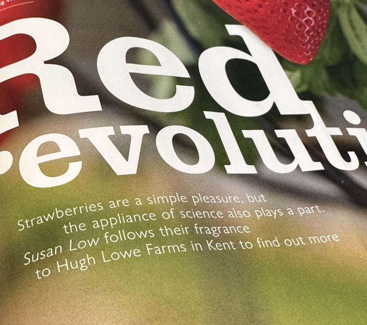 Mangling The Language, chapter 318. This is from <a href="/waitrose/">Waitrose & Partners</a> Magazine.