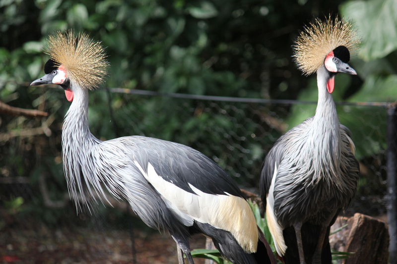 Daily Wisdom - mailchi.mp/wccm/ywfciz5o8…