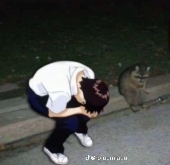 "Quiero mutuals y gente nueva para rolear e interactuar pero soy muy boluda para buscar amistades"
 
                        ( ↻ + ♡)