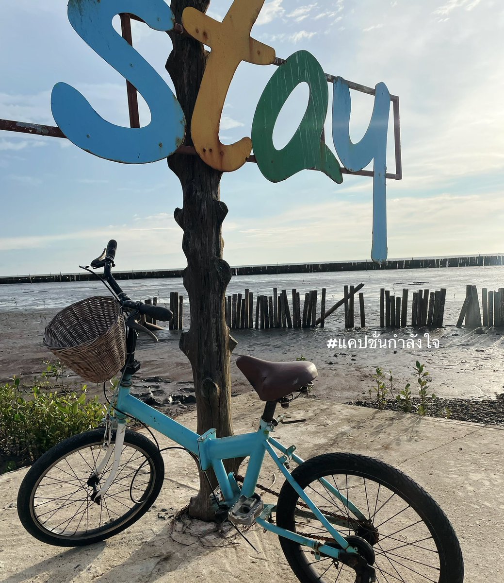 เราโตขึ้นไม่ใช่เพราะคำว่า”อายุ” แต่เราโตขึ้นเพราะประสบการณ์ และ เรื่องราวต่างๆ ที่ผ่านเข้ามา✌🏻😊

#แคปชั่นกำลังใจ #แคปชั่นโดนใจ #แคปชั่นเหงา #แคปชั่นเด็ด #แคปชั่นโดน #คำคมชีวิต #ชีวิตคิดบวก #คิดบวก #แคปชั่นความสุข #คำคม #ข้อคิดดีๆ #คำคมกวนๆ #แคปชั่นกวนๆ #ความรู้สึก