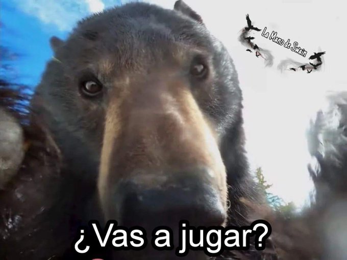 Yo a las 3:00am https://t.co/cTxSoHZdK3