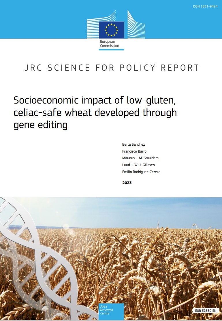 SciSustAg's tweet photo. New @EU_ScienceHub report finds adoption of gene edited low-gluten, celiac-safe wheat:
- may be a healthier, nutritious alternative to current gluten-free products;
- could increase farmers' gross margins by an average of 30% vs. conventional wheat.
  
https://t.co/ggXELKfvNB https://t.co/mmm0GWWwMe