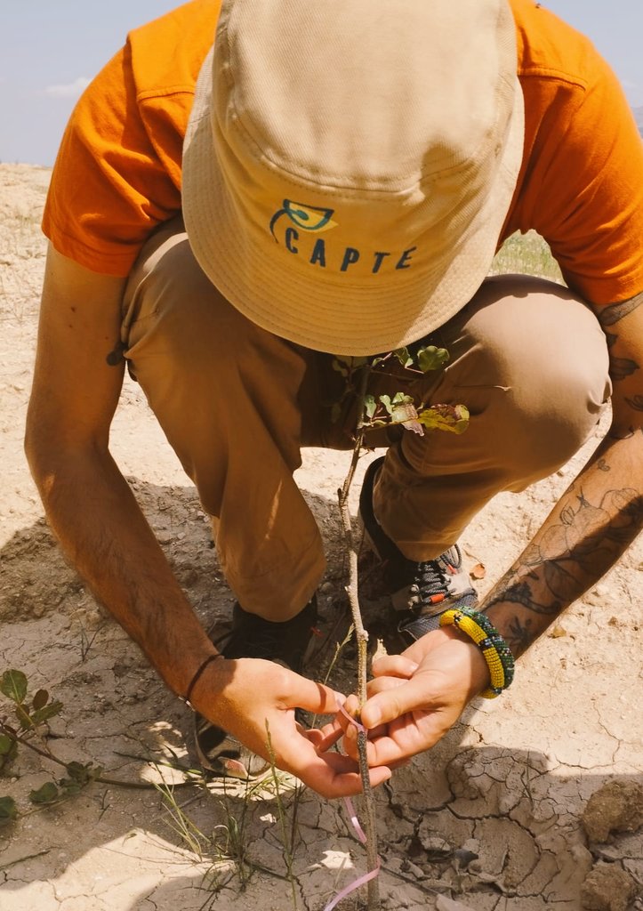 Herve_Sanguin's tweet image. [#LoveCarob] 🌱🍫🤔A la recherche de mise à disposition de #Friches pour projet R&amp;amp;D #RevitalisationSols avec au programme #VergerConservation #Caroubier #BiodiversitéLocale #Agroforesterie #Alimention #ReinsertionAgroecologique