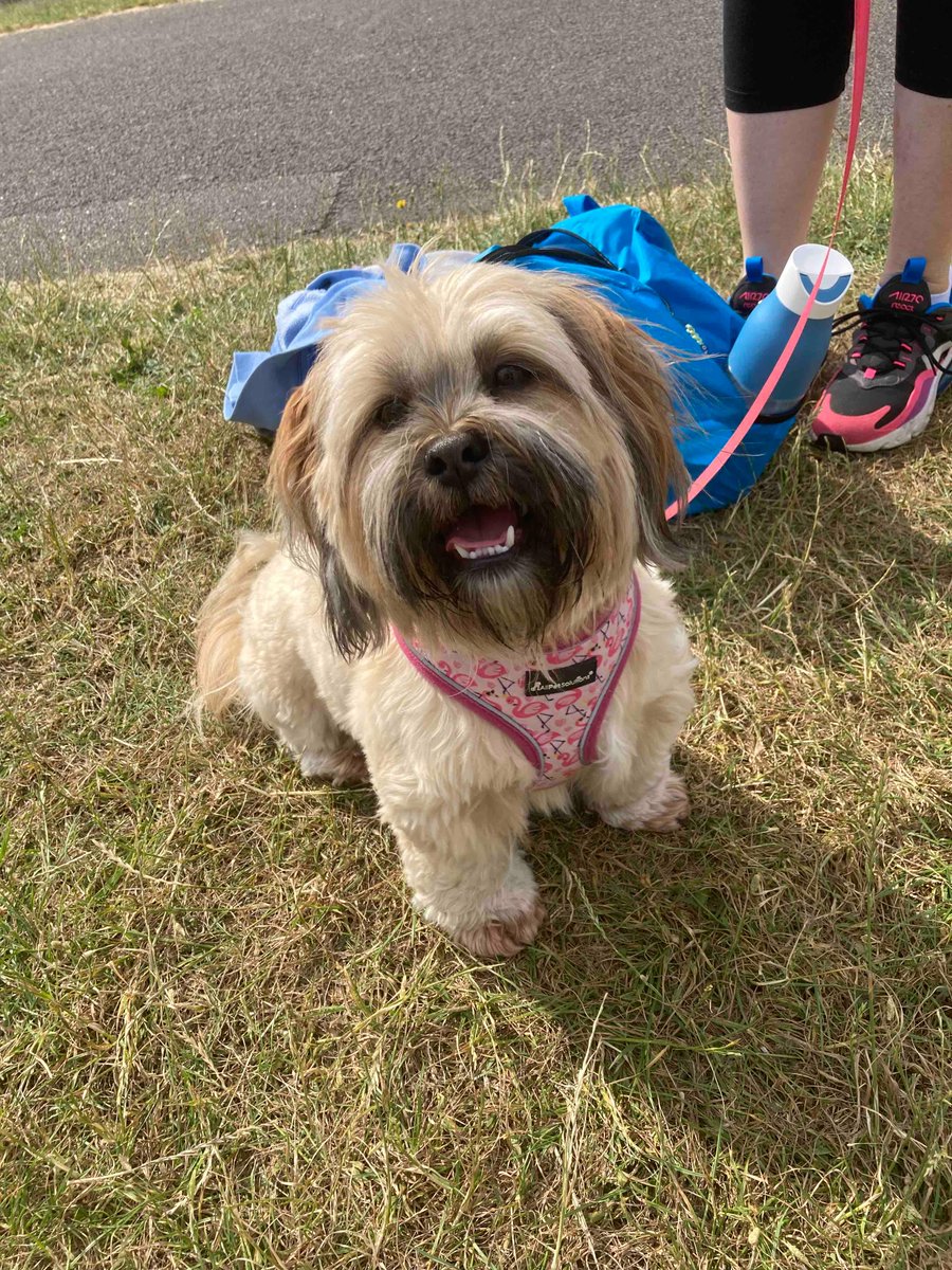 NHSLincsICB's tweet photo. Hereβs Willow who is taking part in todayβs #NHSParkrun #NHS75 π https://t.co/bTeXGJu2U6