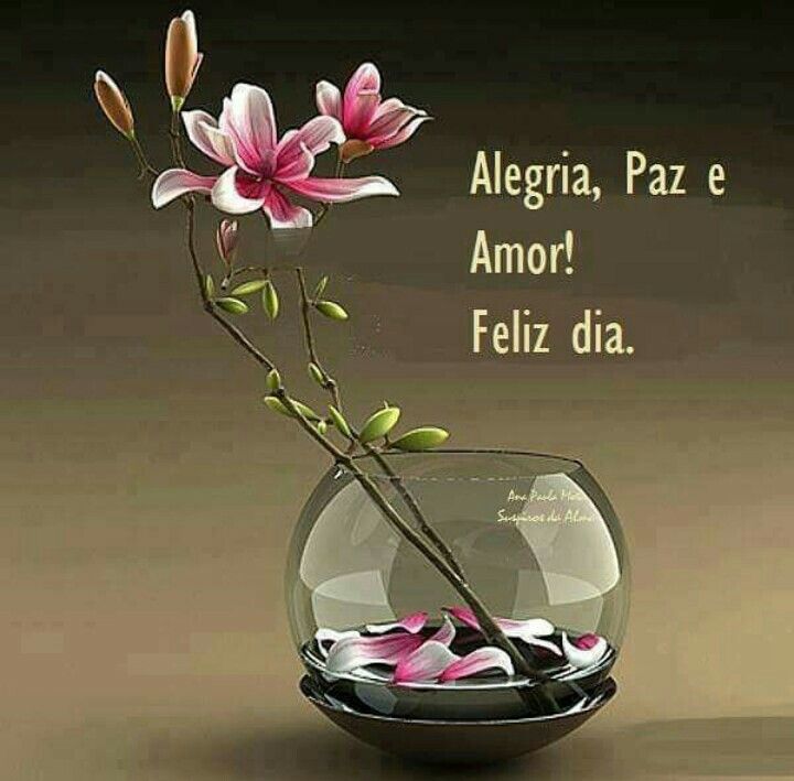 Alan de Oliveira tweet media