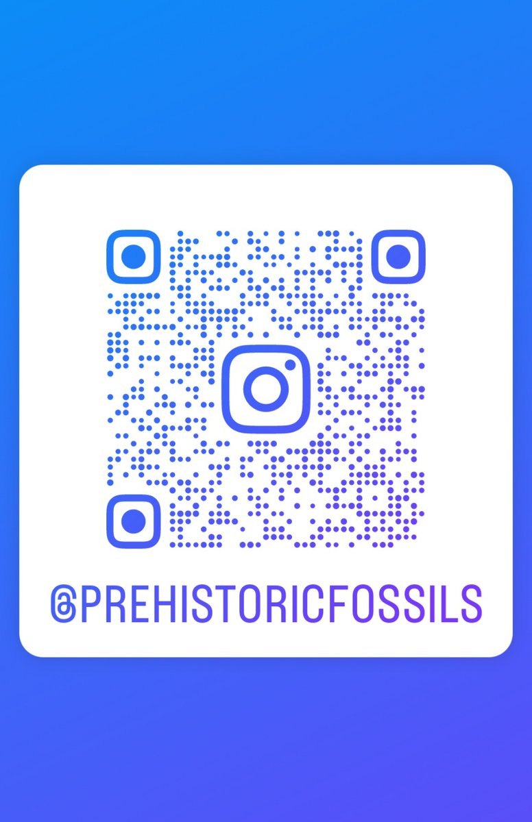 indiana9fossils's tweet image. Be sure to check out our Instagram page!!!

#instagram #InstagramThreads #fossils #fossilshop #mineralsforsale #gifts #Indiana9Fossils #PrehistoricFossils #branson #missouri #minerals #gemstones #artifacts #fossilsforsale #dinosaurs #uniquegifts #fypage