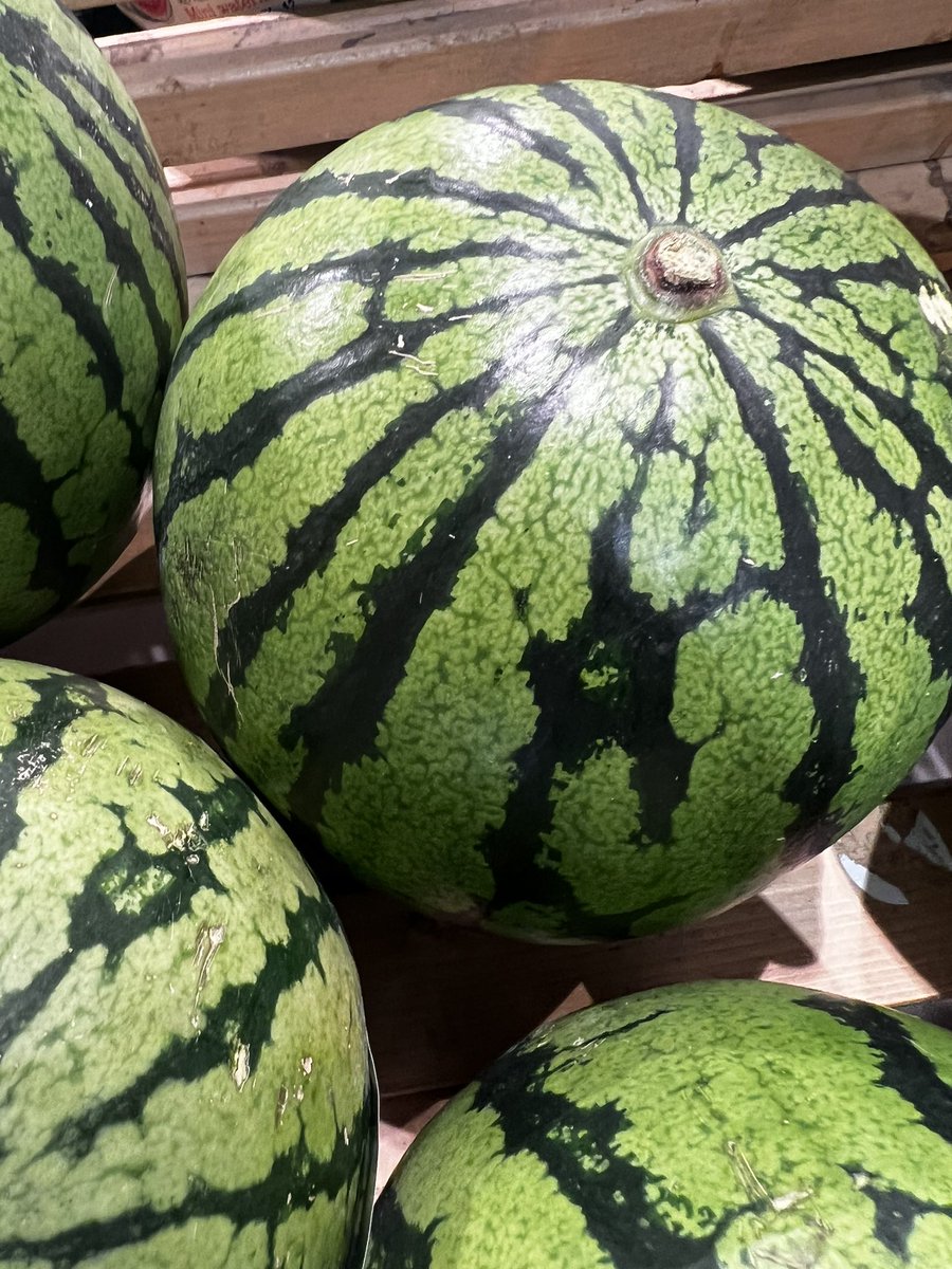 victimsofcomics's tweet image. not so sure about that new celtic top #patter