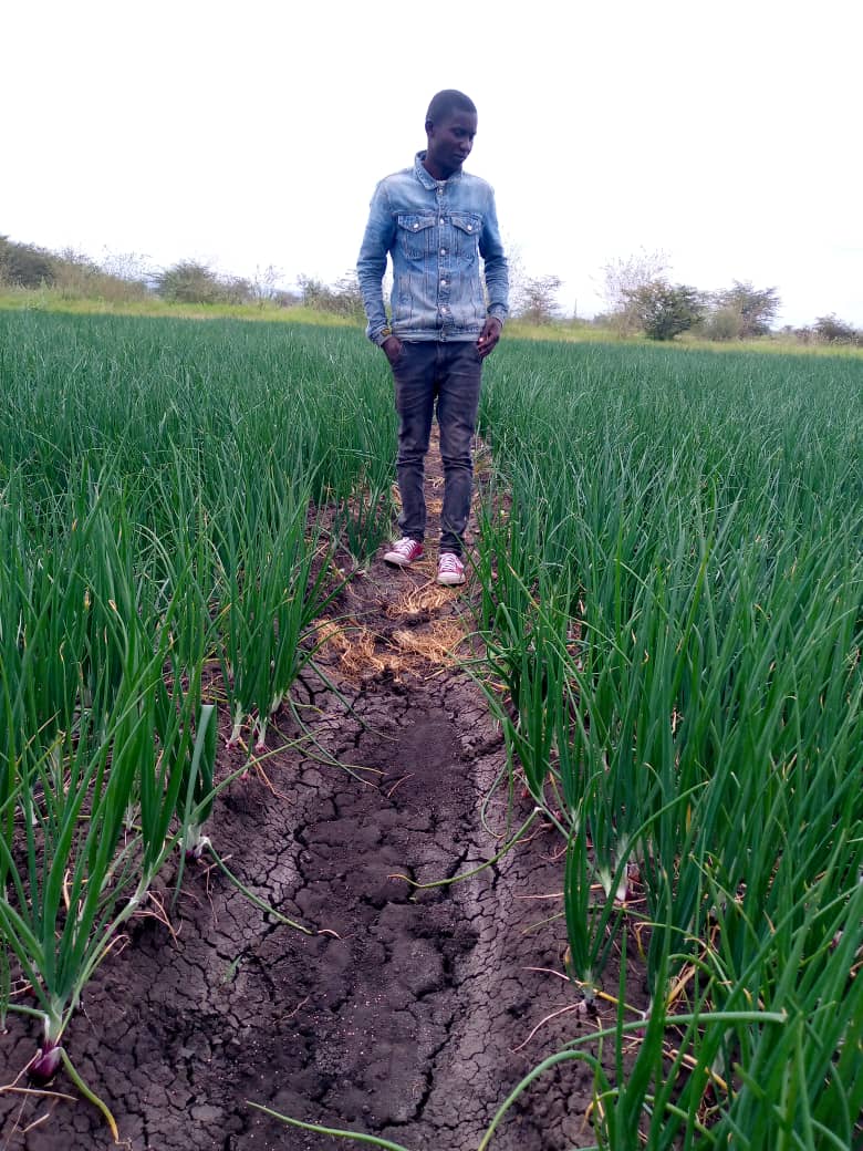 Pembejeo_Agric's tweet photo. Matokeo mazuri ya Mbolea yetu yenye kutoa Matokeo mazuri Kwa Mkulima kwenye Mazao mbali mbali likiwemo zao la #Kitunguu....

Hii ni Mbolea ya #NUTRIPLANT....

☎️ 0688308804 https://t.co/PvxiSSbfcv