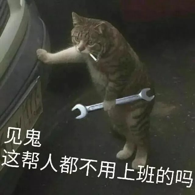 好久没上推了，最近在餐馆里打暑假工，感受社会的毒打