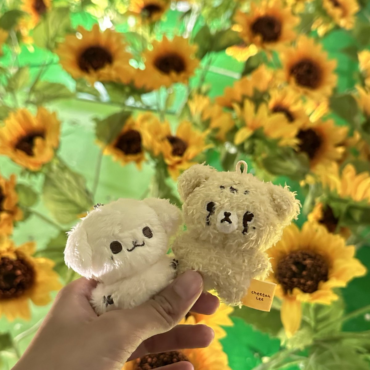 milskymelon's tweet photo. #milskyfamilee at #VanGoghLive 🌌

lil domdowie would be v happy if he’s here in sunflower land, i forgot to bring you im sowwy ☹️ https://t.co/p06K22WF34