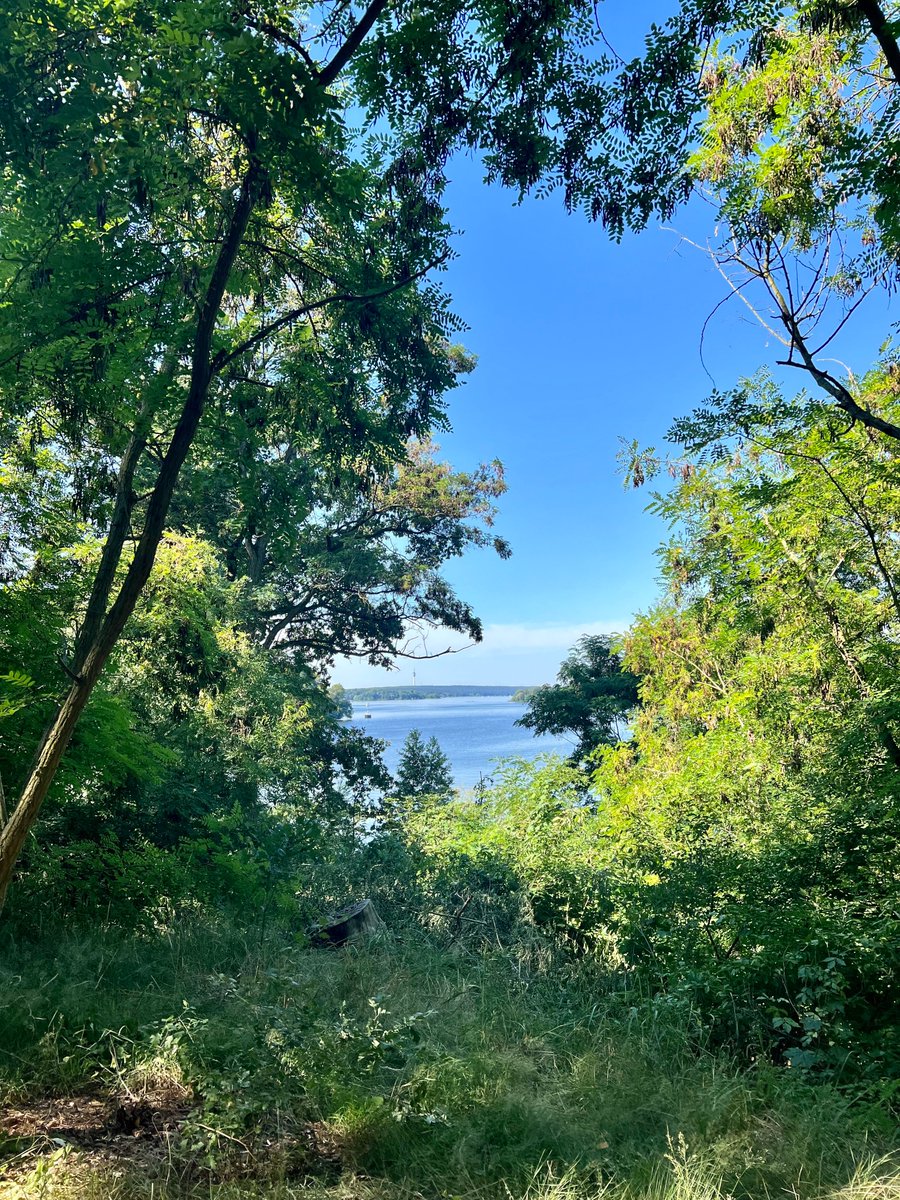 Robin Dechant tweet media