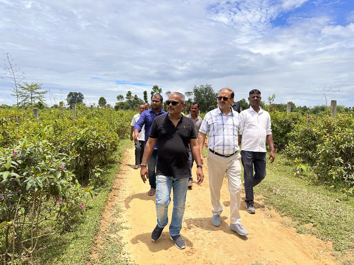 Mrinal_MLA's tweet photo. Visited newly declared Bortika Mudoigaon Micro Village Wildlife Sanctuary areas along with district forest officials and discussed with villagers regarding #1CrorePlantation initiative of HCM Dr. ⁦@himantabiswa⁩ sir on 2nd October. 
#PlantATree https://t.co/c9lpid8YcS
