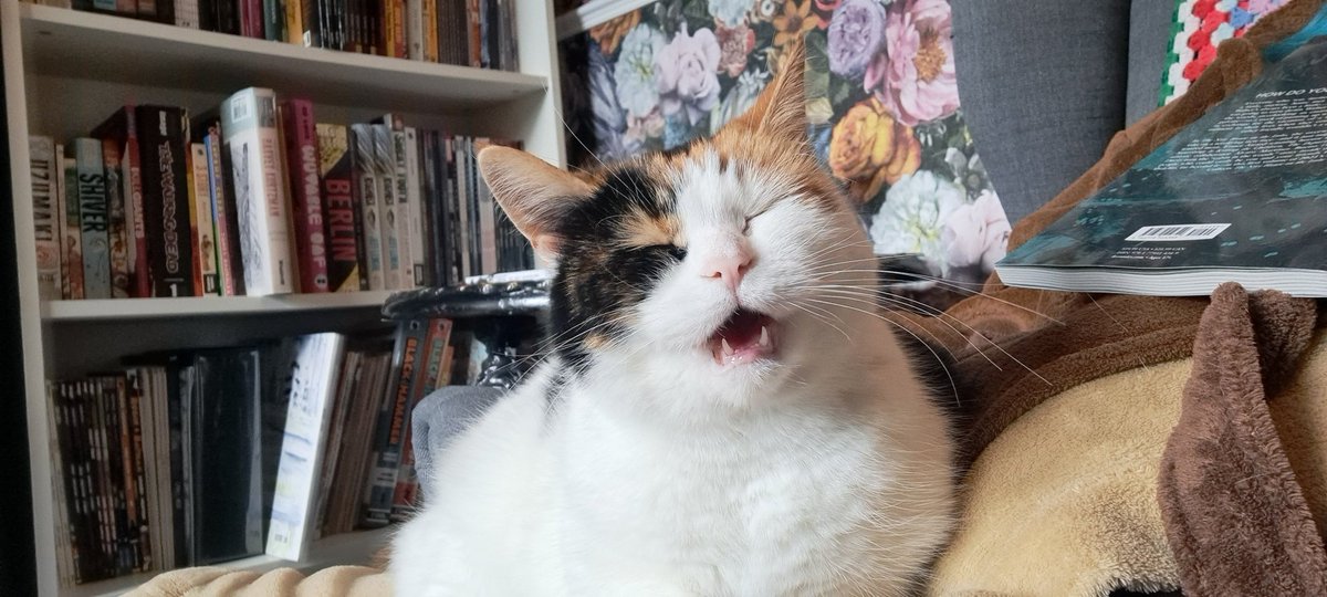 Joanne Beaman tweet media