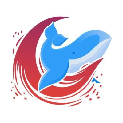 CryptoIconic5's tweet image. Sei is strong project🫡 @SeiStorm #Sei #testnet #IDO #launchpad #dex #seistormContest