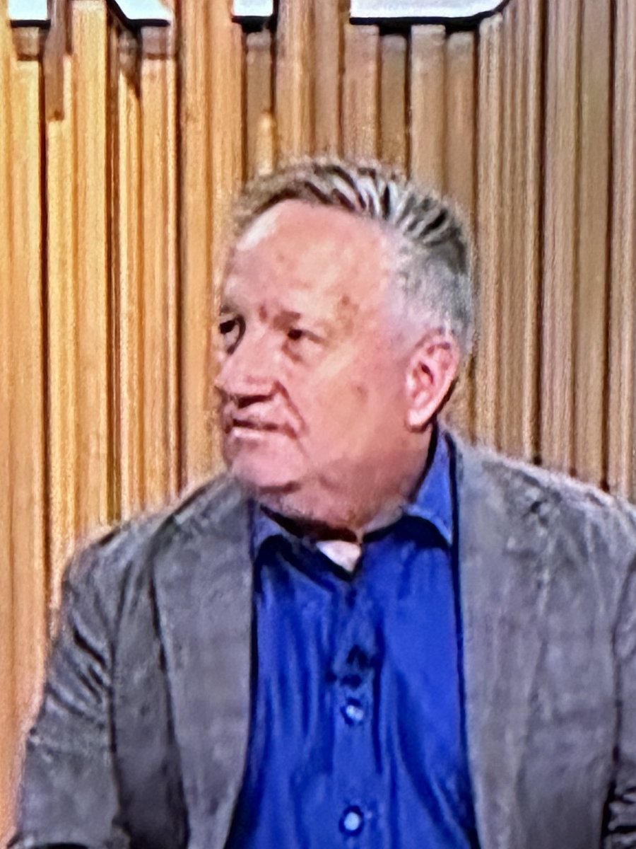 The Rug of Ian Healy is fascinating, which legend curated this carpet of fantasy?. #theashes