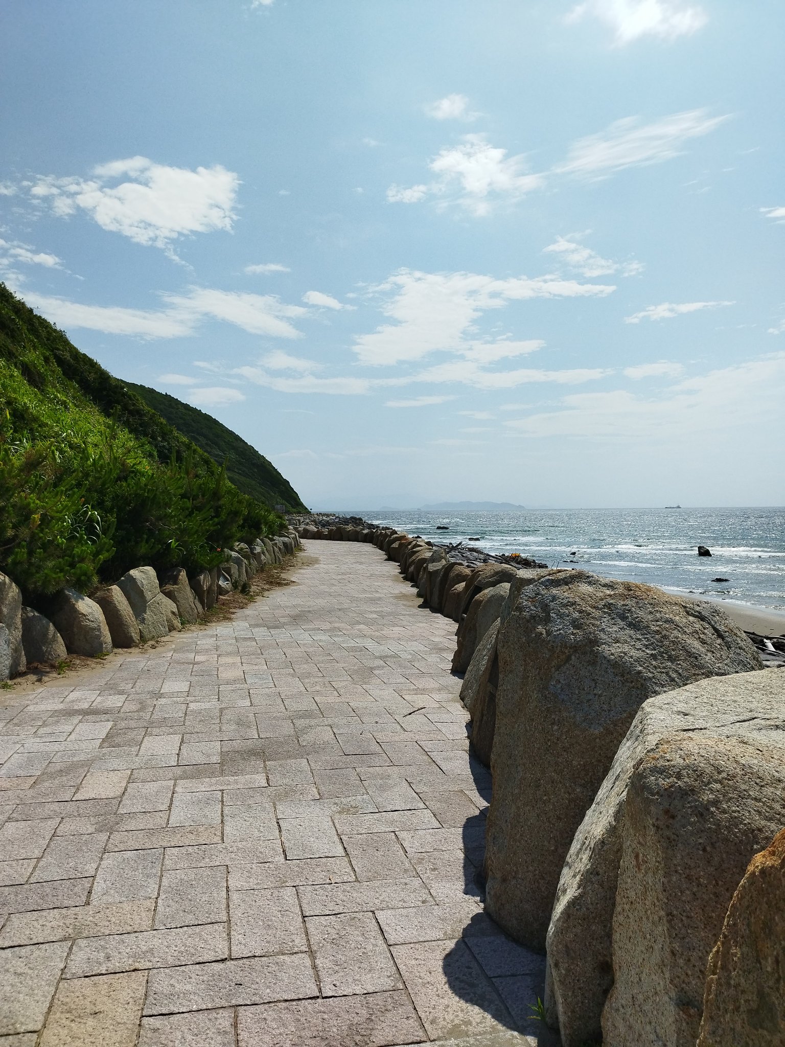 メイジ時代🕊️💐 on Twitter メイジ時代🕊️💐 on Twitter