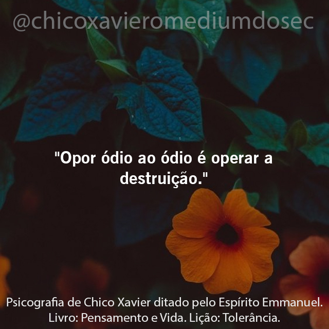 chicoxavmedium's tweet photo. Opor ódio ao ódio é operar a destruição.

Psicografia de Chico Xavier ditado pelo Espírito Emmanuel   
Livro: Pensamento e Vida
Lição: Tolerância

#chicoxavier #omediumdoseculo https://t.co/B9Eq48gm3O