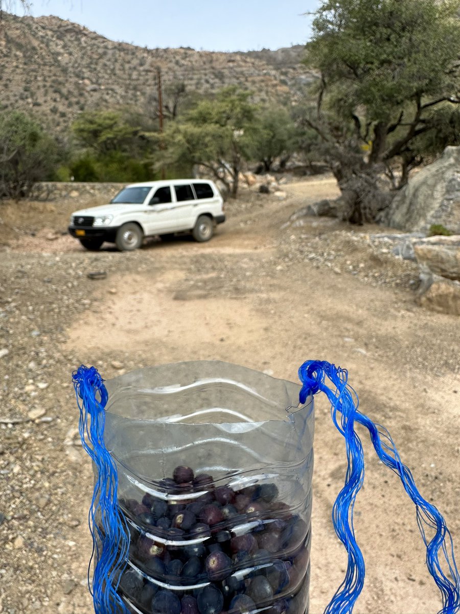 اللهم إنّ إلحاح أمانينا إليك بيّن، وتحقيقها عليك هيّن؛ فاجمعنا بها جمعًا يُبهج القلب ويُداوي الروح .💛💭