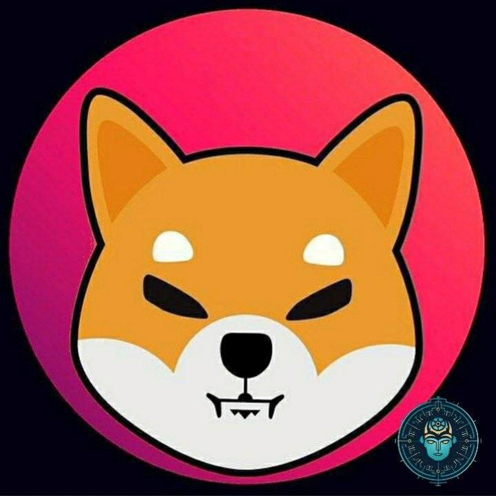 EleZeus_MIMA's tweet photo. @badideaai It's the real bad idea ,join it 
Already more than 3400 holders

https://t.co/v5HgP5dOTK

#shib has new #partnershib with #badideaai

https://t.co/FdARWAJqyu…

#Shibarium #Metaverse #shill $BAD https://t.co/X9rcDURLcX