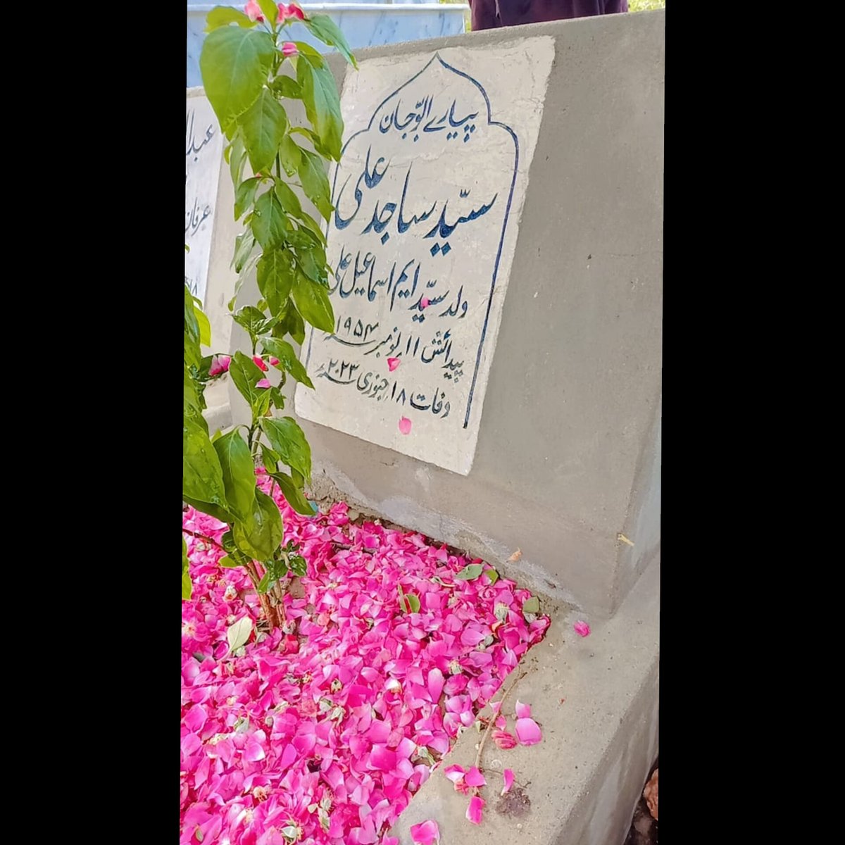 Tooba Ali 🦇 tweet media