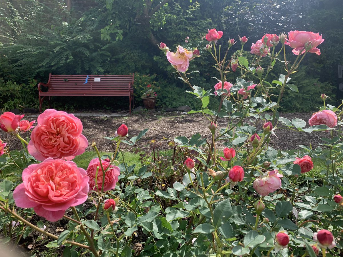 Mark Shephard 🏳️‍🌈 tweet media