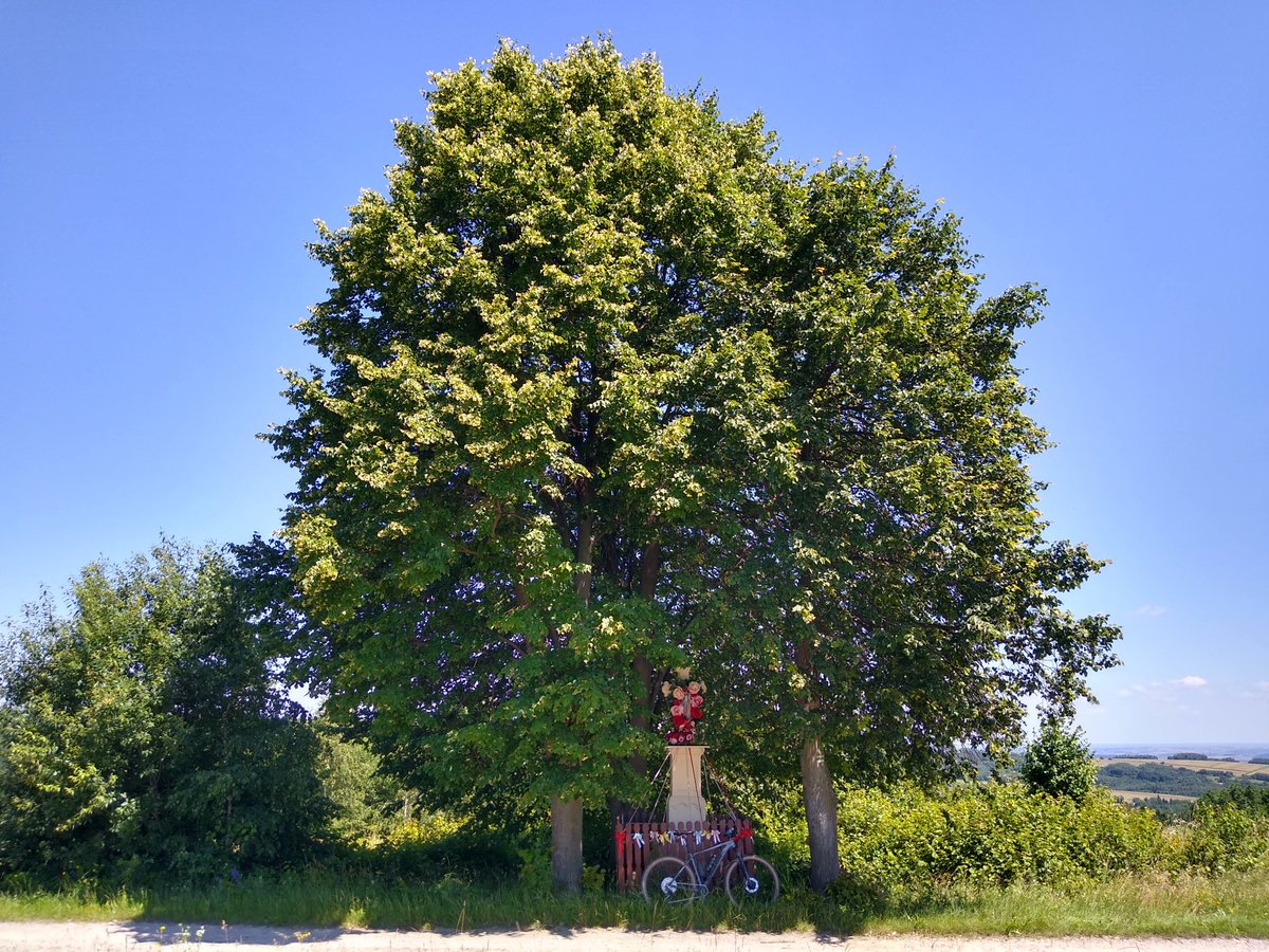 WasatyRys's tweet photo. No to poranne wożonko z głowy 🏞️🚲🌲 #mtb 
I 💚 #podkarpacie https://t.co/HuEmiqBHzm