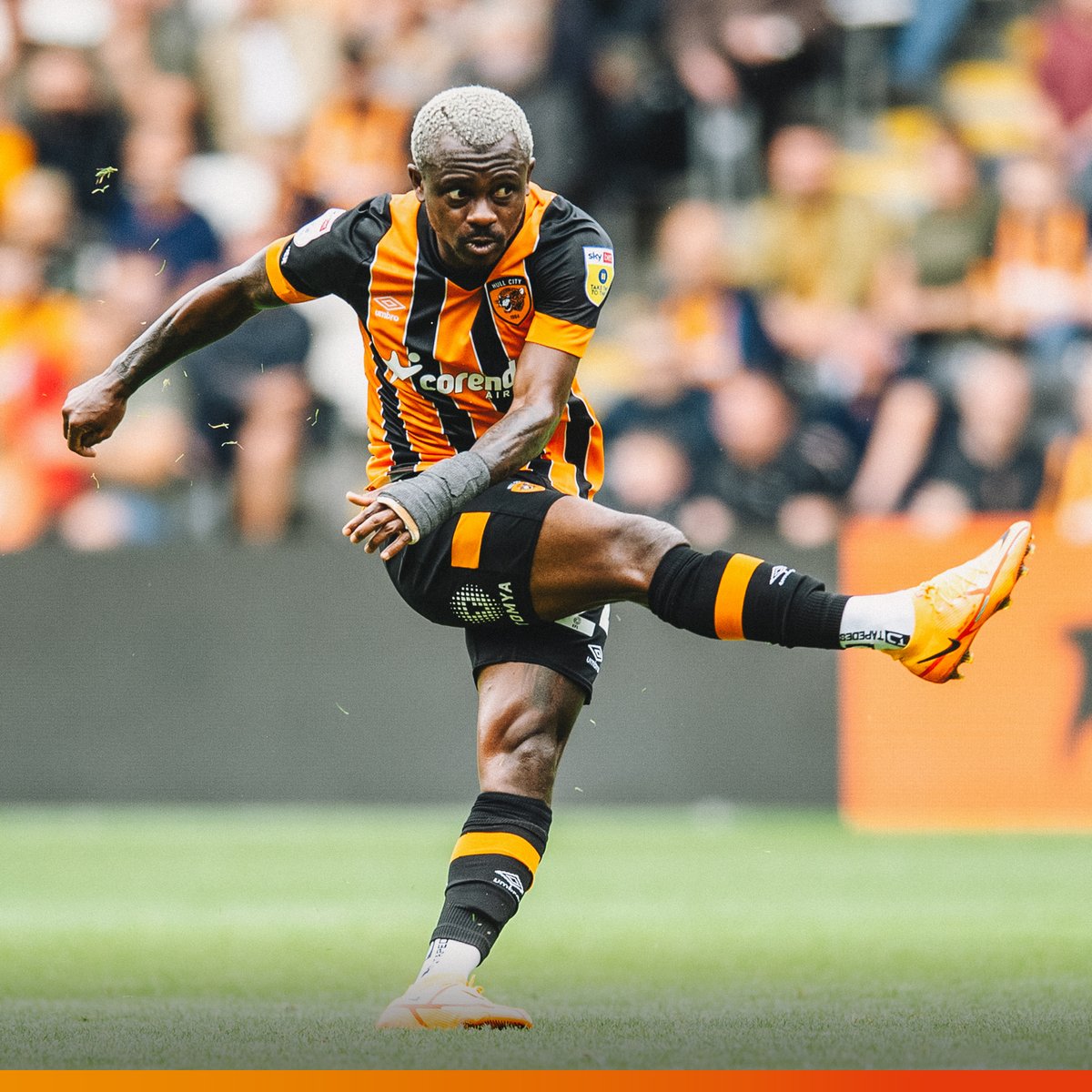 One year of Mika! 🪄

#hcafc | <a href="/evansandcohull/">Evans & Co Chartered Certified Accountants</a>