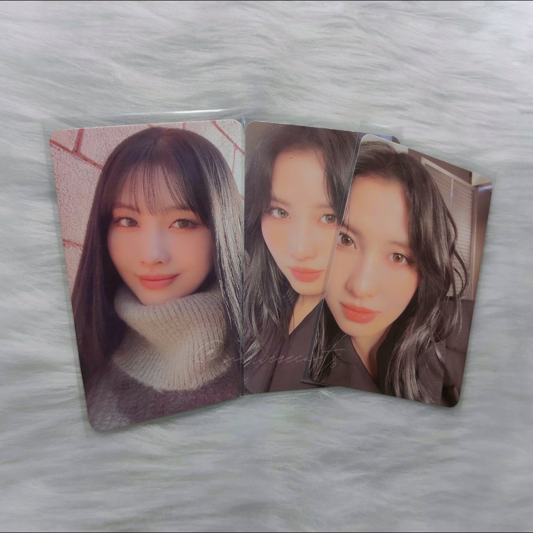 moweeecarts's tweet photo. 💌 #moweeemails

momo rtb pc's &amp; ny cross card arrived safely ! tysm for packing momoring well and for keeping me updated about my order :))

#salamuchkiyo https://t.co/6Sw7ojMgvr