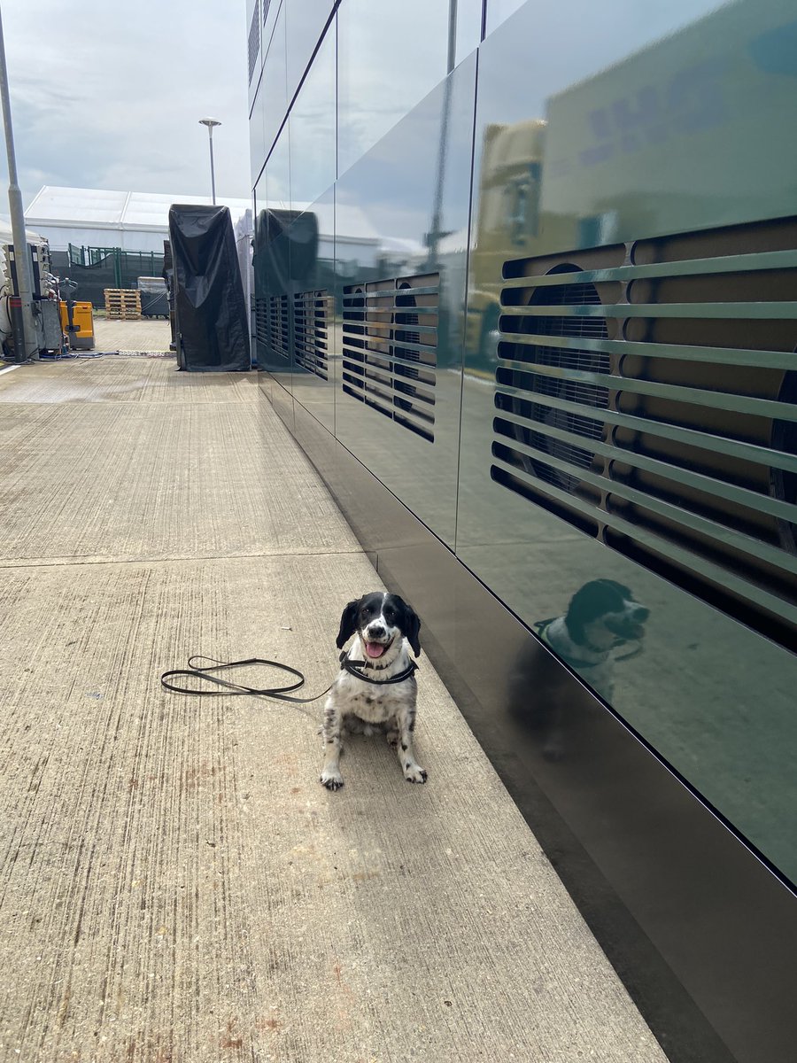 SiljaRulle's tweet photo. That’s Rosie. Rosie is protecting the paddock today. She is trained to look for explosives. She’s part of a huge delegation protecting the event. #BritishGP #silverstone https://t.co/sVgPX1AsVX